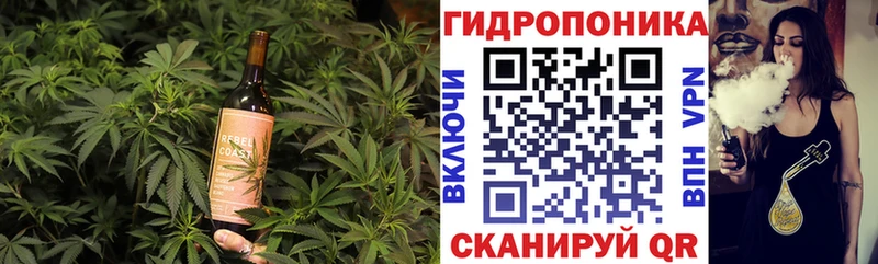 блэк спрут как войти  Камешково  Еда ТГК марихуана  дарнет шоп 