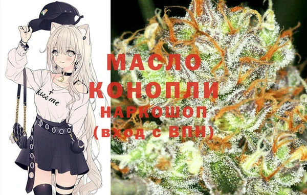 дживик Володарск
