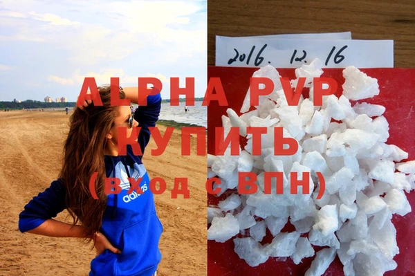 дживик Володарск