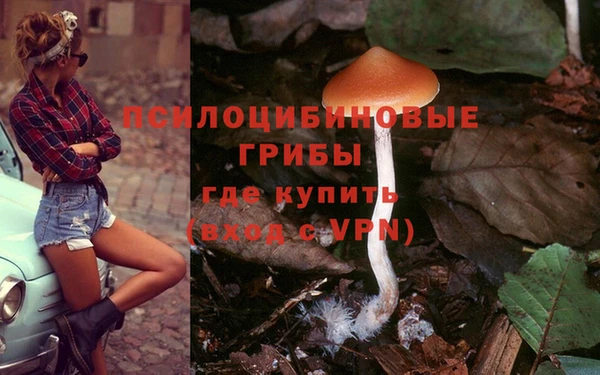 дживик Володарск