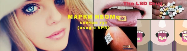 дживик Володарск