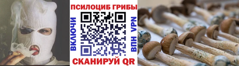 Галлюциногенные грибы прущие грибы где купить Камешково
