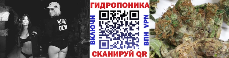 хочу наркоту  Камешково  Каннабис Bruce Banner 